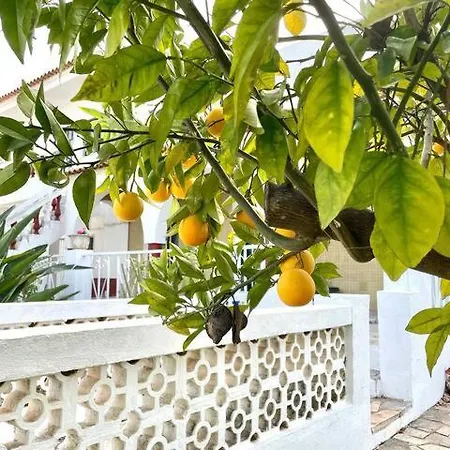 Vivenda Aromas Do Algarve Maison d'hôtes