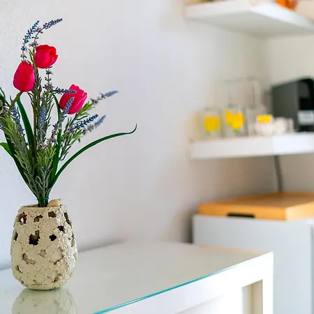 Vivenda Aromas Do Algarve Guest house