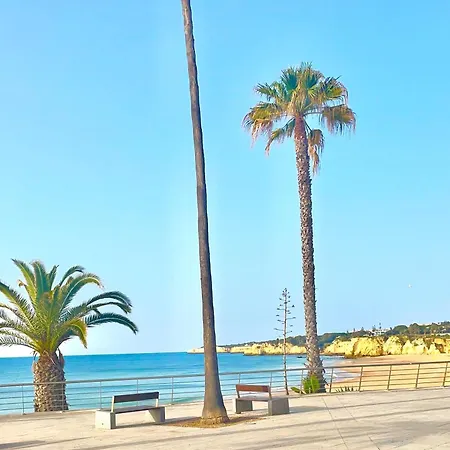 게스트하우스 Vivenda Aromas Do Algarve 4*