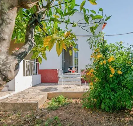 Guest house Vivenda Aromas Do Algarve Monte Raposo