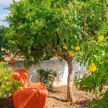 Pensión Vivenda Aromas Do Algarve